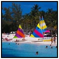 Royal Caribbean Serenade of the Seas on 01/24/09 &middot; $879